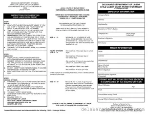 Fill Out Your Delaware Work Permit Form